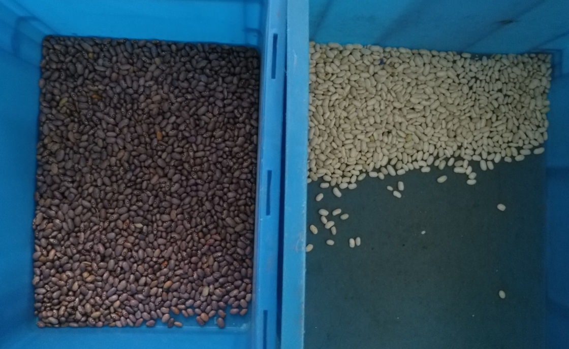 WENYAO 10 Chutes Beans Color Sorter , 10t/h Colour Sorting Machines