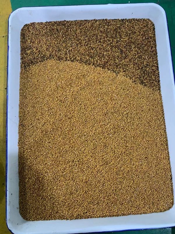Multi Functional Grain Color Sorter , 220V 50HZ Wheat Processing Machine