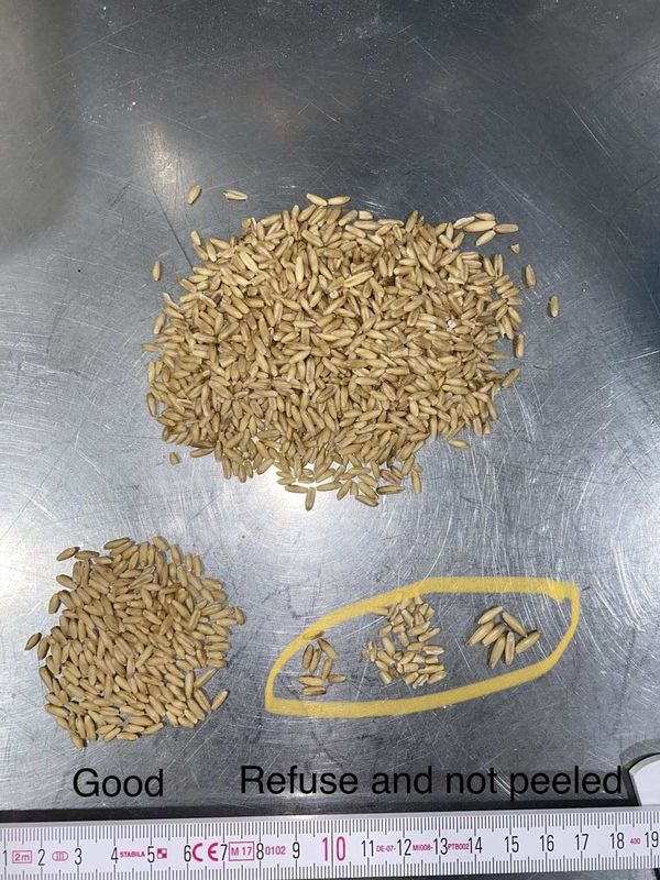Wenyao RGB Camera Wheat Color Sorter with High Sorting Accuracy