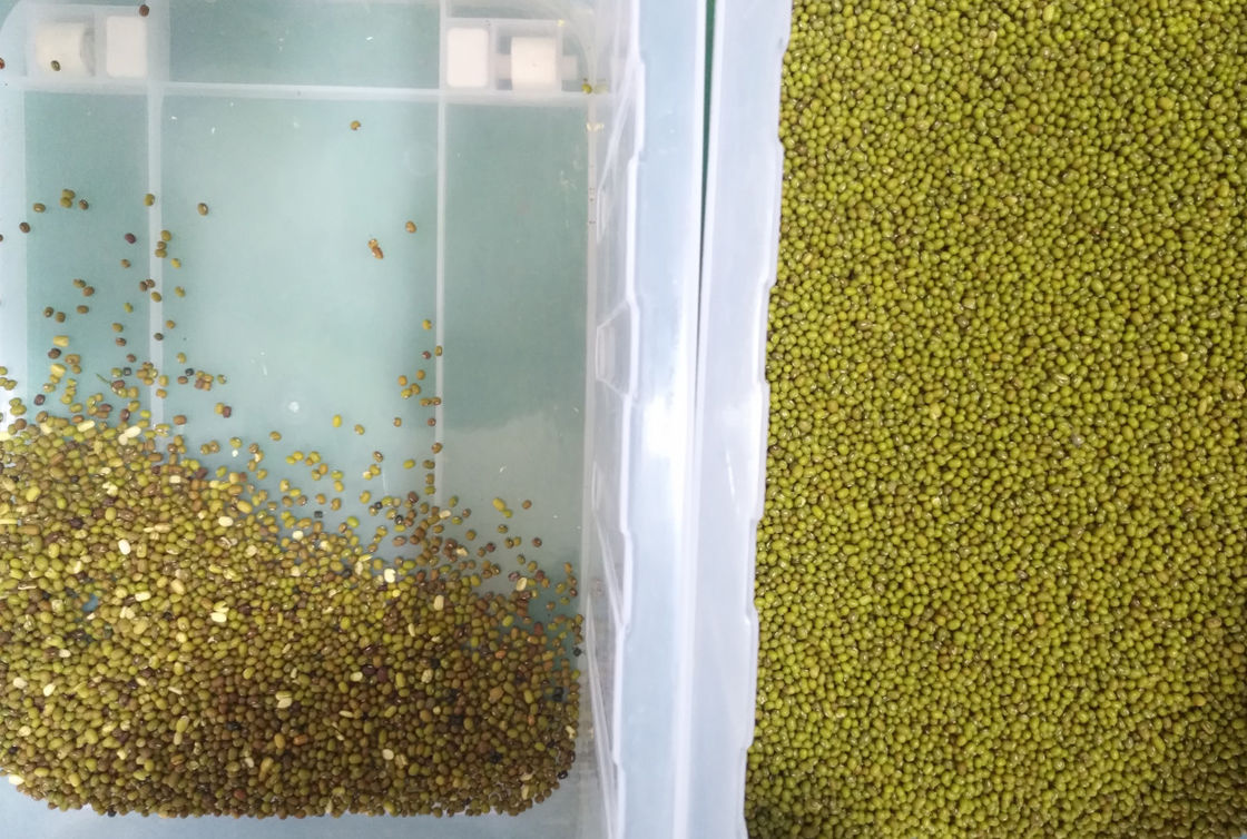 10t/h Intelligent CCD Color Sorter Machine For Green Mung Beans