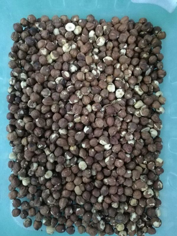 Multi Functional Nuts Color Sorter , 6 Chute Hazelnut Sorter 99.99 Accuracy
