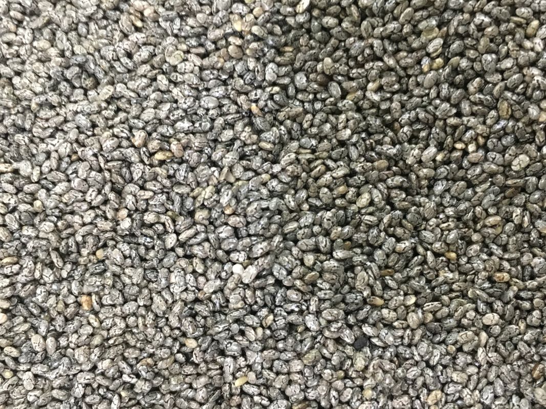 512 Channels 8 Chutes Chia Seed Color Sorter With RGB Camera
