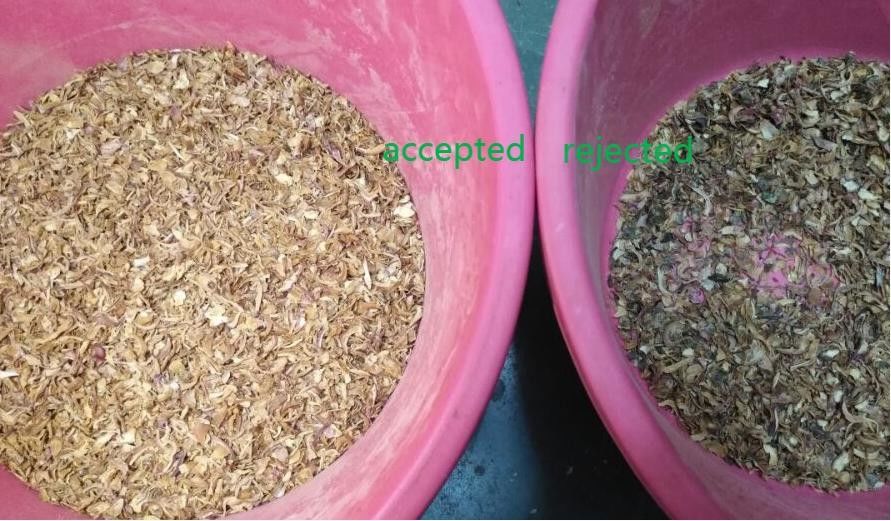 5400 Million Pixels Vegetable Sorting Machine High Capacity For Dried Onion