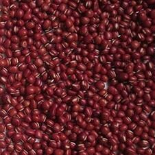 CCD Full Color Beans Color Sorter Machine 304 Stainless Steel Hopper