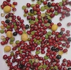 CCD Full Color Beans Color Sorter Machine 304 Stainless Steel Hopper
