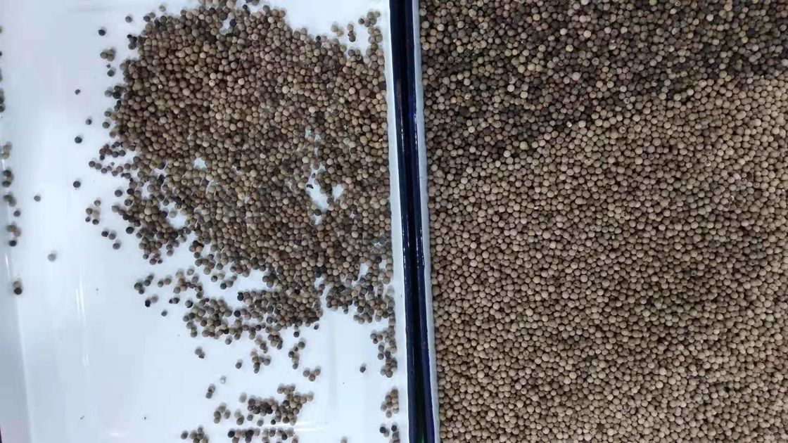 Intelligent Grain Color Sorter , 220V RGB Pepper Sorting Machine