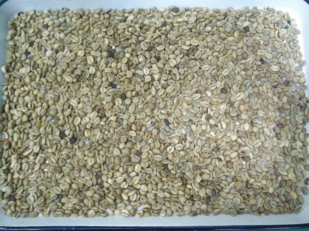 High Capacity 5400 Pixels CCD Camera Coffee Beans Color Sorter Sorting Separator Machine