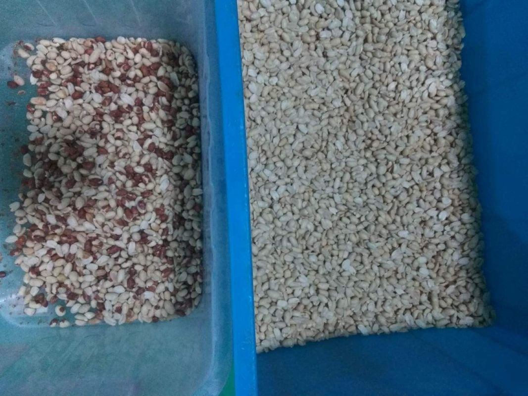 Newest Technology Nuts Color Sorter Peanut Color Separation Machine With Best Service