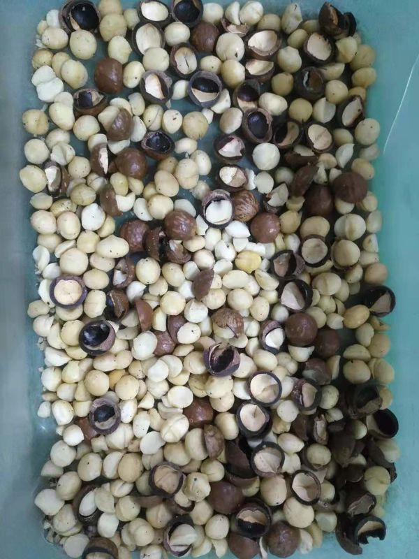 6 Chute Nuts Color Sorter LED Light  Self design high frequency ejectors