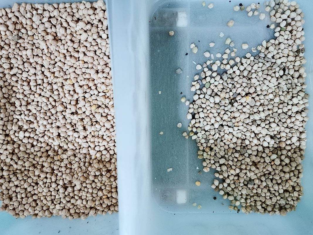 Wenyao 220V 50Hz Chickpea Color Sorter Low temperature LED light