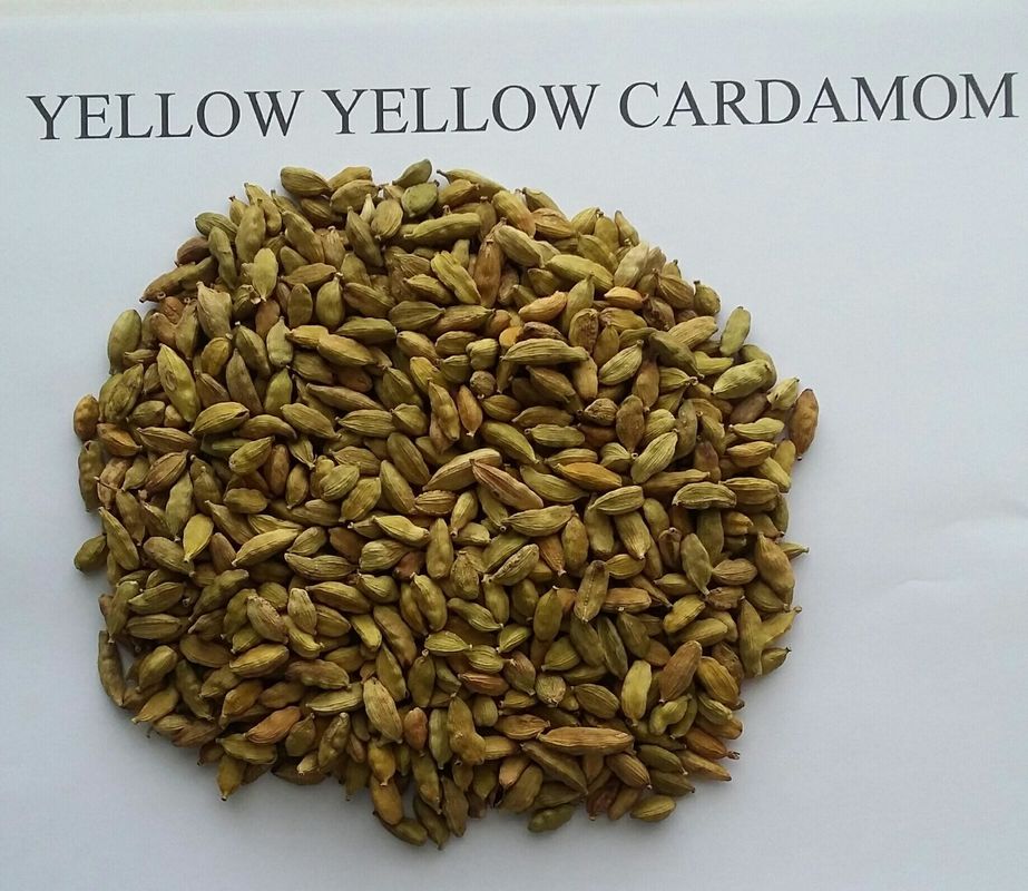 8 chutes Wenyao Color Sorter , Cardamom Sorting Machine ISO9001 Certificate