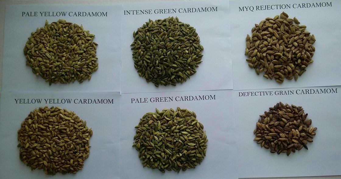 WENYAO Coffee Bean Selecting Machines Coffee Bean Separation AI Optical Sorting Machines