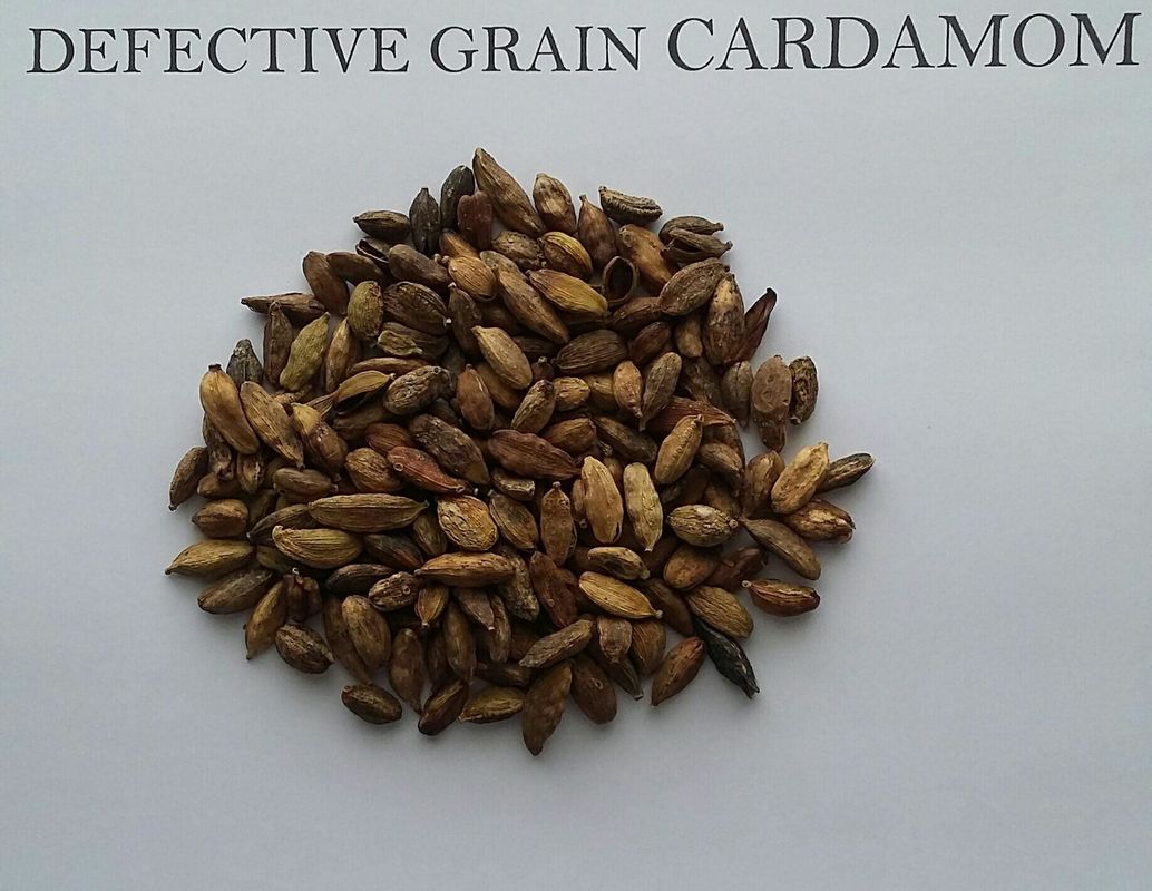 WENYAO Coffee Bean Selecting Machines Coffee Bean Separation AI Optical Sorting Machines