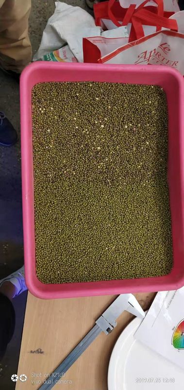 512 Channels 8 chutes Multifunction Color Sorter For Green Mung Beans