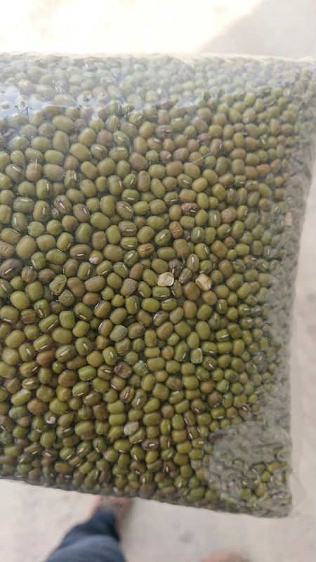 512 Channels 8 chutes Multifunction Color Sorter For Green Mung Beans