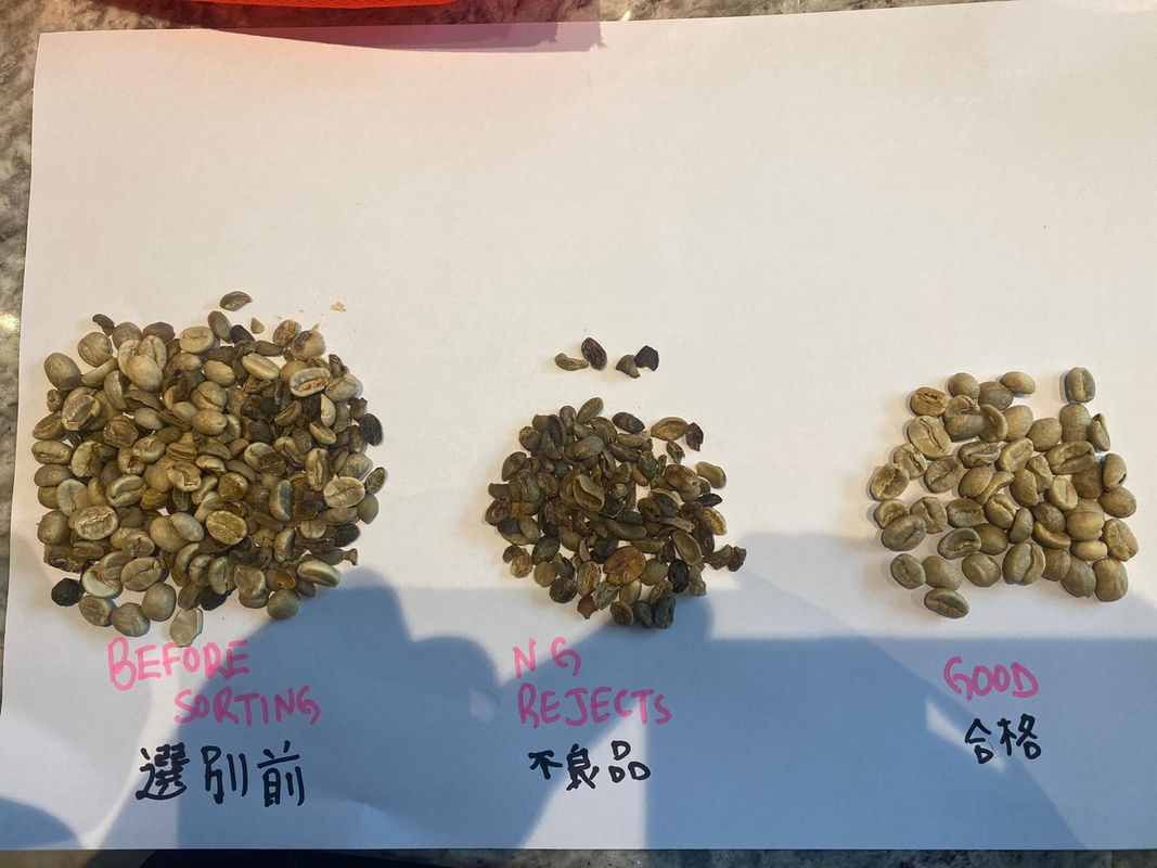 RGB CCD camera Multifunction Color Sorter , Green Beans Coffee Bean Sorting Machine