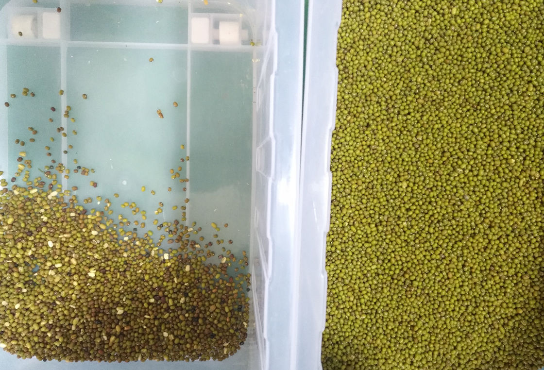 6 Chute Cereal Color Sorter For Sorghum Buckwheat Millet