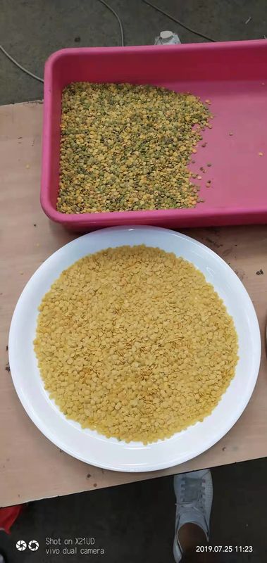 10t/h Wenyao Color Sorter , Lentil Mung Dal Color Sorter