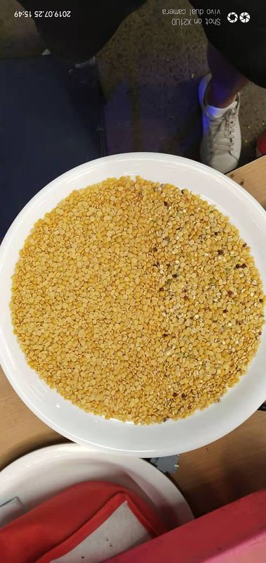 10t/h Wenyao Color Sorter , Lentil Mung Dal Color Sorter