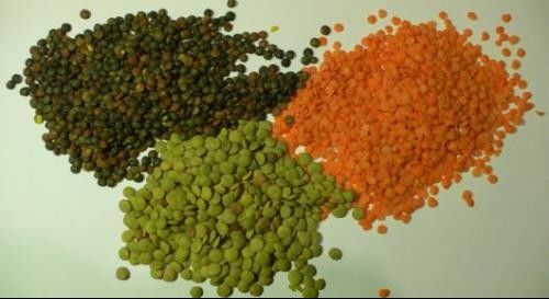 Black Lentil Dal Color Sorter 8 chutes 512 Channels with LED variable light
