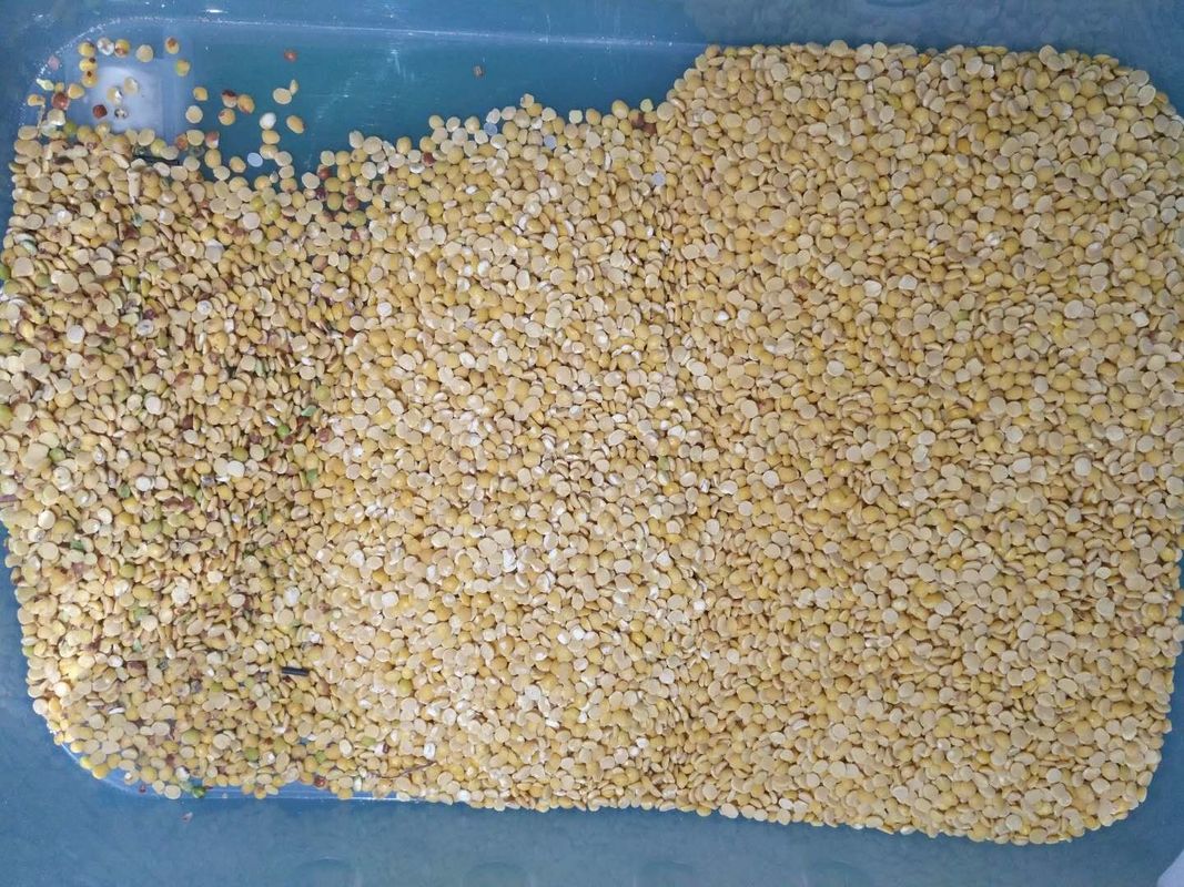 Black Lentil Dal Color Sorter 8 chutes 512 Channels with LED variable light