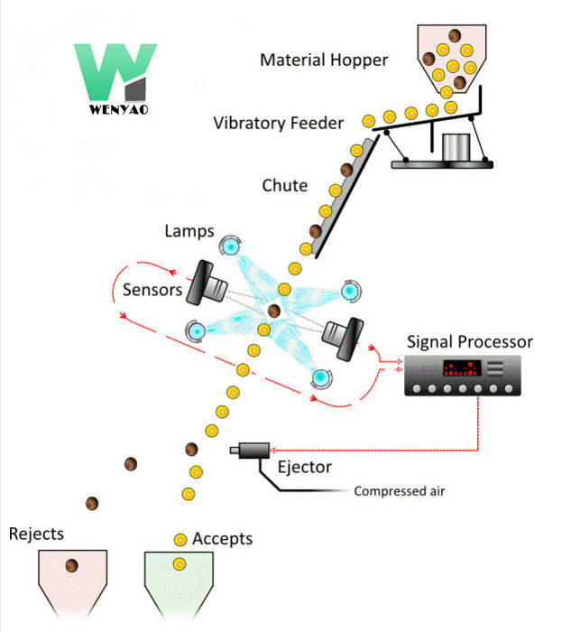 Intelligent Pecan Color Sorter With high speed RGB Nir Cameras