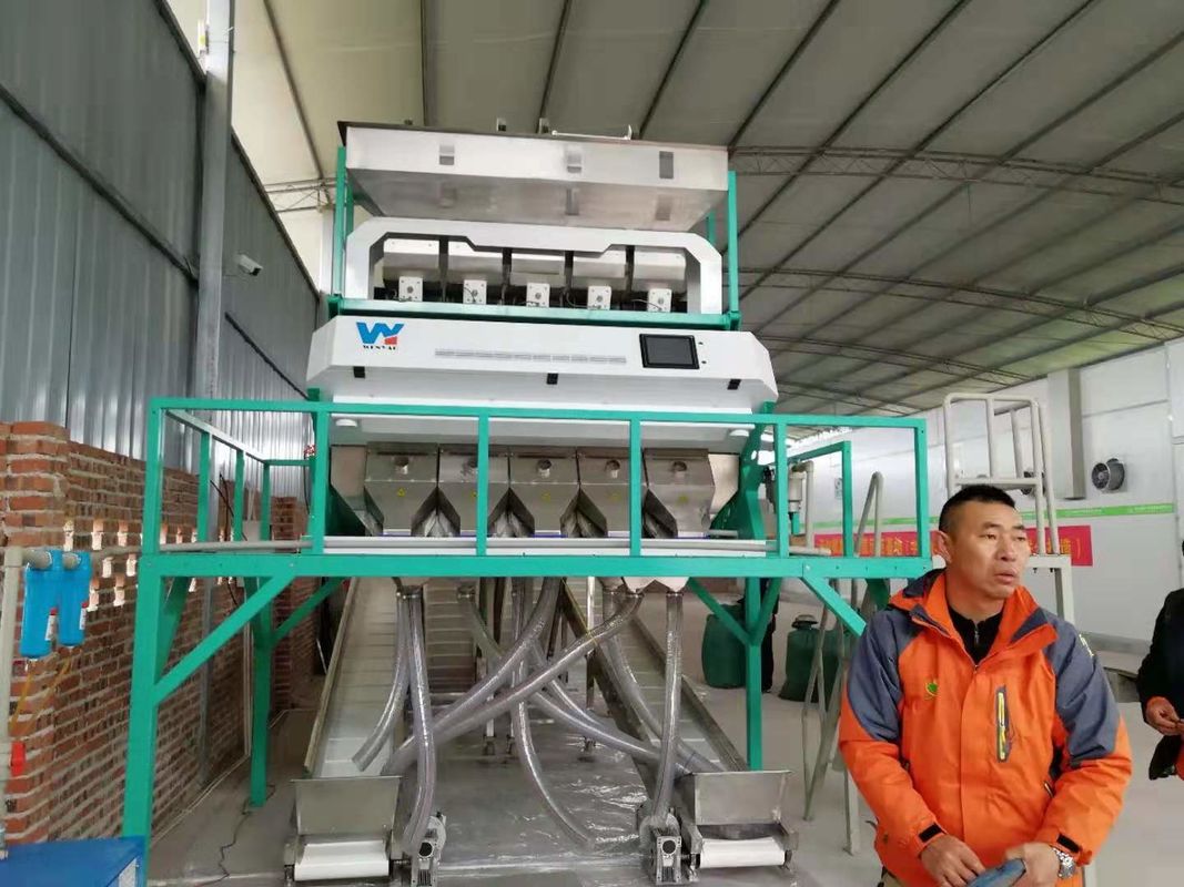 Yellow Lentils Beans Color Sorter Taiwan Meanwell Power Source