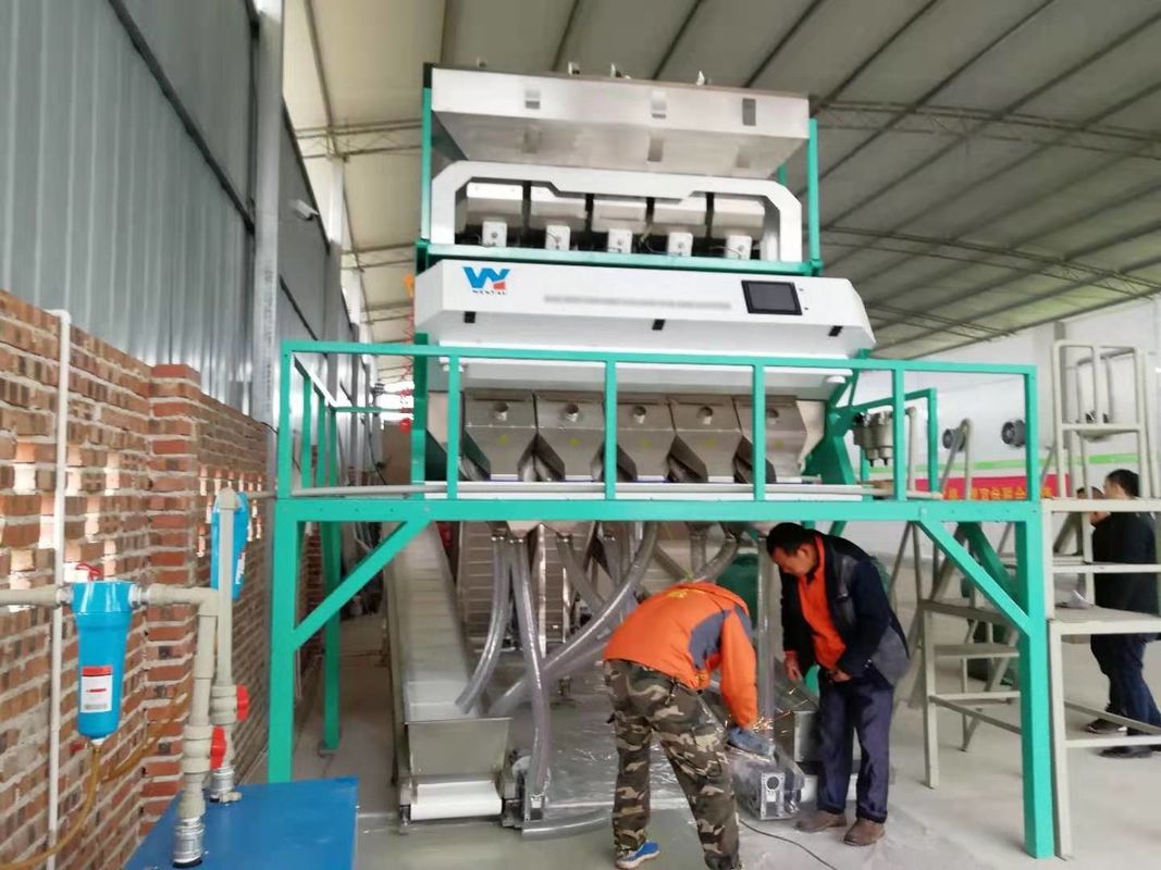 Yellow Lentils Beans Color Sorter Taiwan Meanwell Power Source