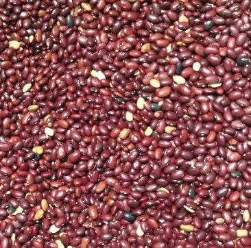 Red Beans Color Sorter With High Pixels CCD Camera 2 years Warranty