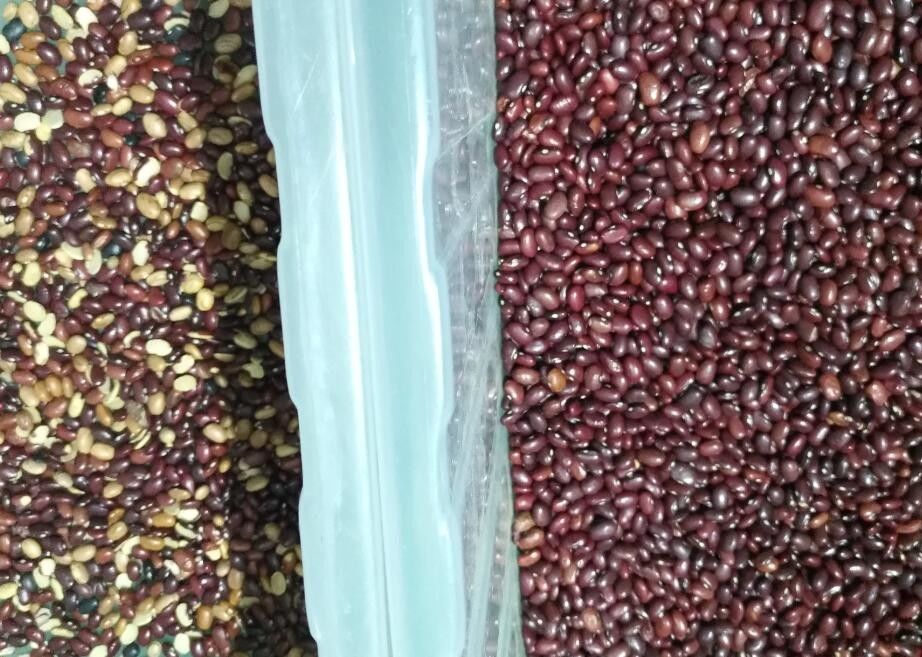 Red Beans Color Sorter With High Pixels CCD Camera 2 years Warranty