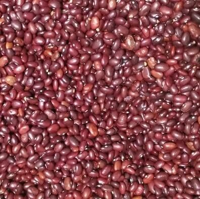 Red Beans Color Sorter With High Pixels CCD Camera 2 years Warranty