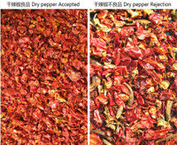 WENYAO Stainless 304 Food Chili Varieties Separetion Chili Quality Control Color Sorter for Red Chili Grading