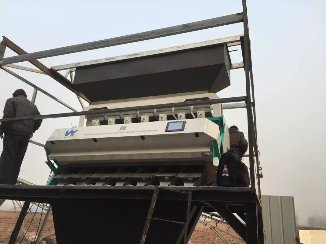 Japan CKD Filter Candle Nuts Color Sorter For Separating White And Black Color
