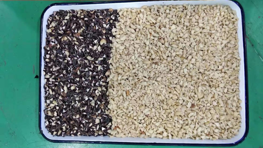 Japan CKD Filter Candle Nuts Color Sorter For Separating White And Black Color