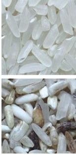 Coffee Color Sorter Machine With Stainless 304 Food Grade Hopper