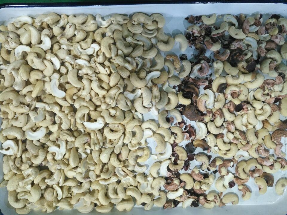 Full Automatic Mini Color Sorter , Coconut Cashew Nut Sorting Machine