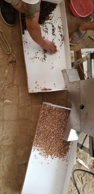 220V 50HZ Multifunction Color Sorter , Yellow Mealworm Sorting Machine
