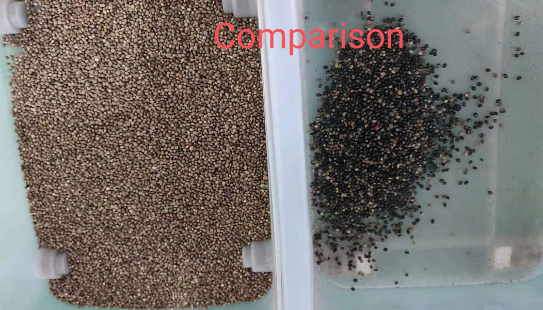 High Resolution Hump Seed Color Sorter , Flax Seed Processing Machine