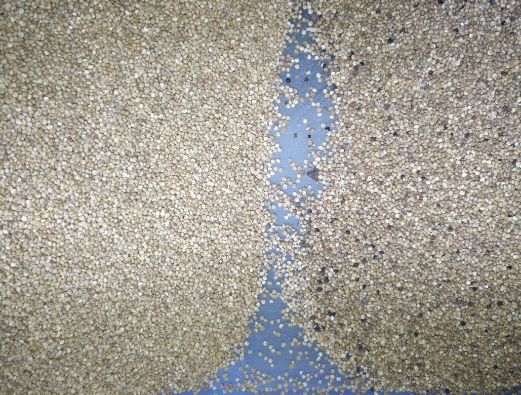 WENYAO CCD LED Lights Grain Color Sorter Machine 2 - 6T/H