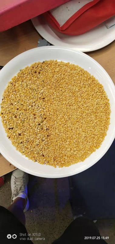 Agricultural Machinery Cereals 4 Chutes Grain Color Sorter Toshiba CCD 2t/h