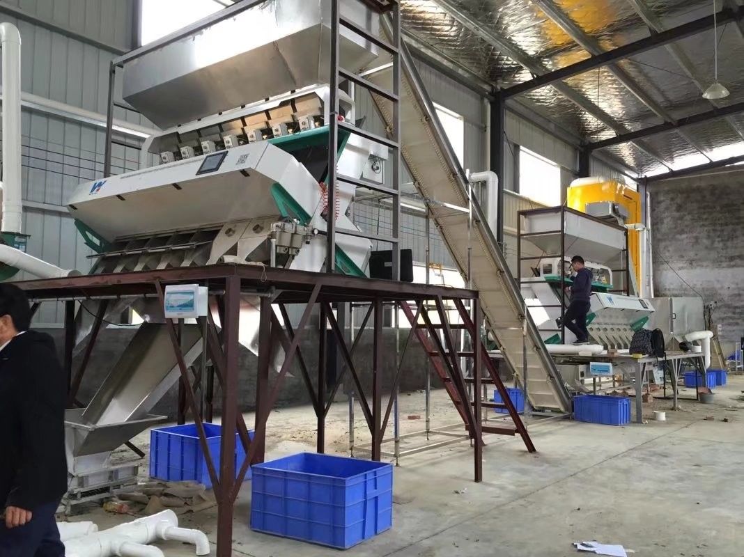 Wenyao AI Ccd Color Sorter Wifi Remote Control For Corn Oats Sorghum Cocoa Bean