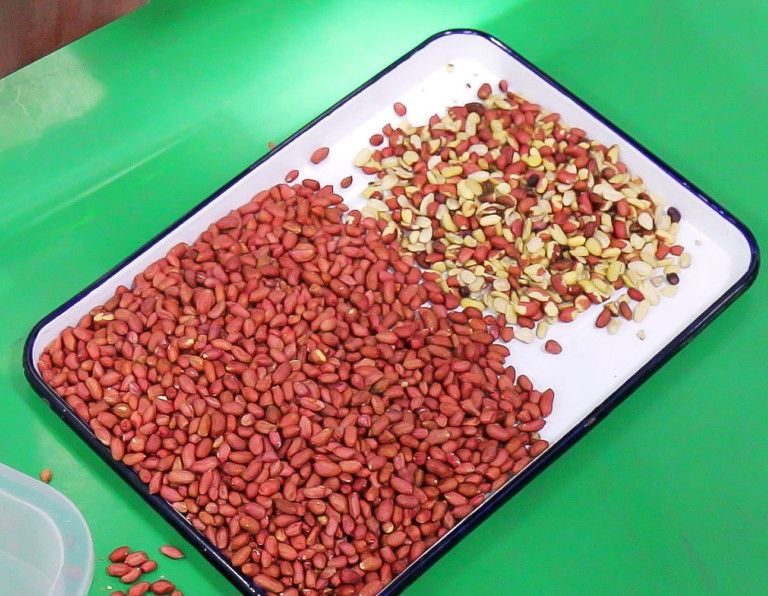 Peanut Nuts Color Sorter , Automatic CCD Color Sorter Taiwan Meanwell Power