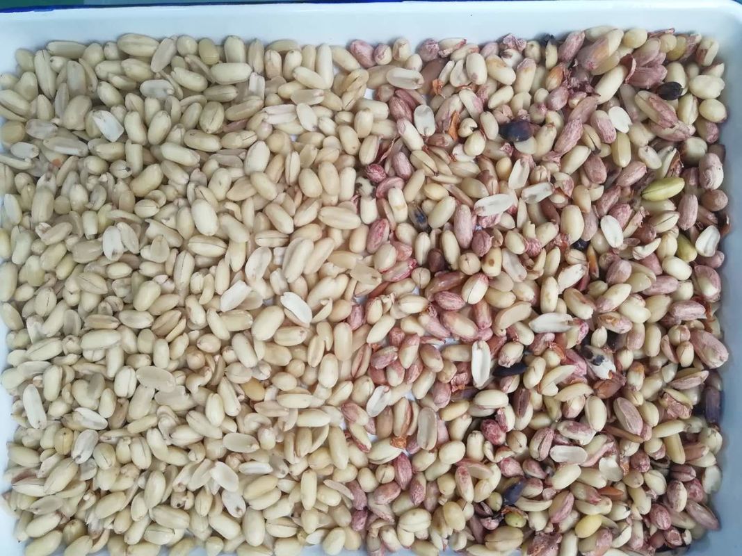 Peanut Nuts Color Sorter , Automatic CCD Color Sorter Taiwan Meanwell Power