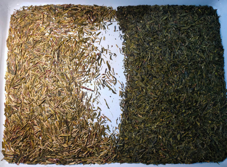 AC220V 7KW Tea Colour Sorter Machine with long lifetime LED light