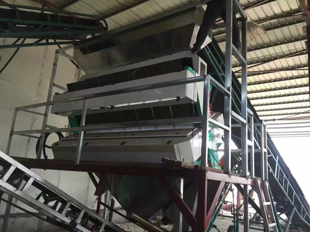 CE Certificated Nuts Color Sorter Machine For Pine Nut Pistachio Walnut