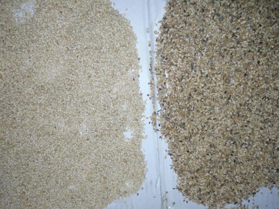 Easy Operate Grain Color Sorter , 8t/h Sesame Color Sorter with RGB camera
