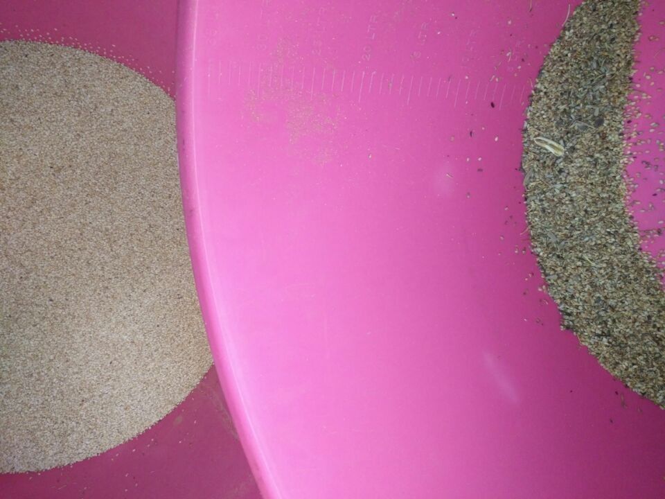 Easy Operate Grain Color Sorter , 8t/h Sesame Color Sorter with RGB camera