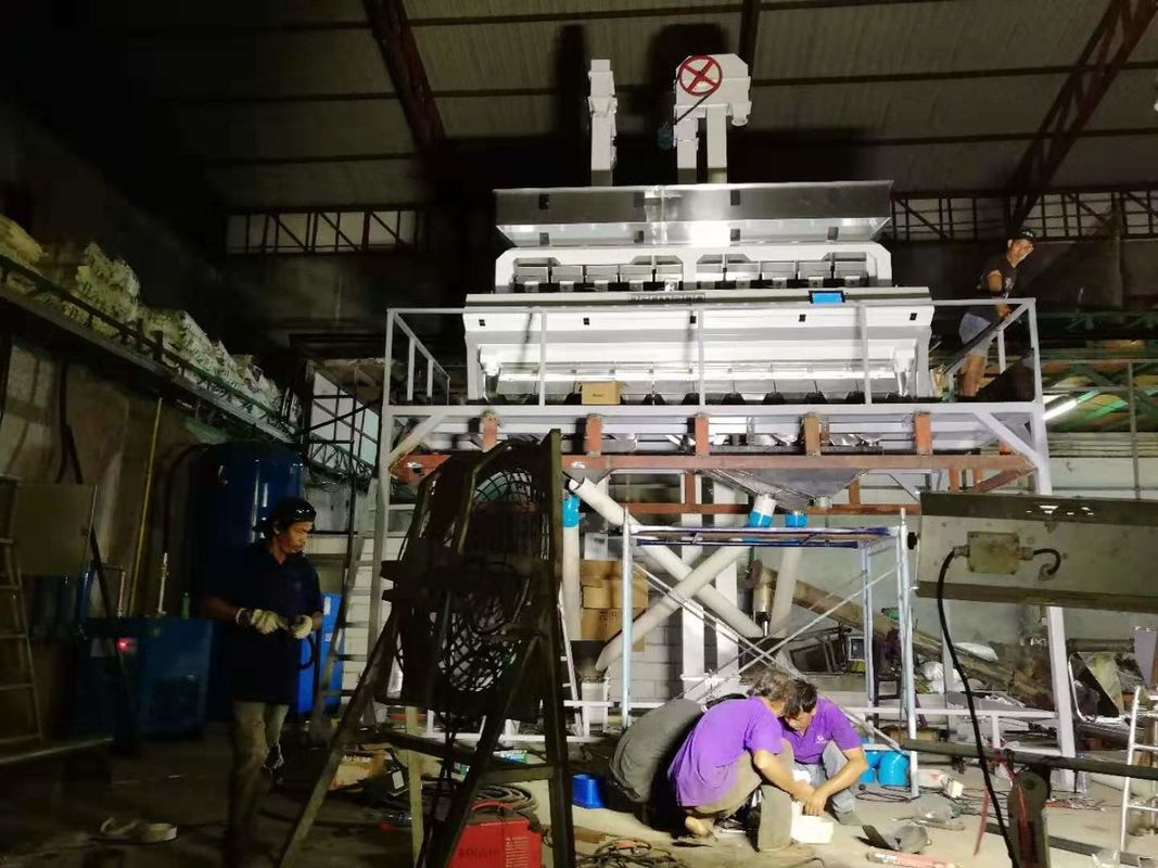 6 Chute Cereal Color Sorter For Sorghum Buckwheat Millet