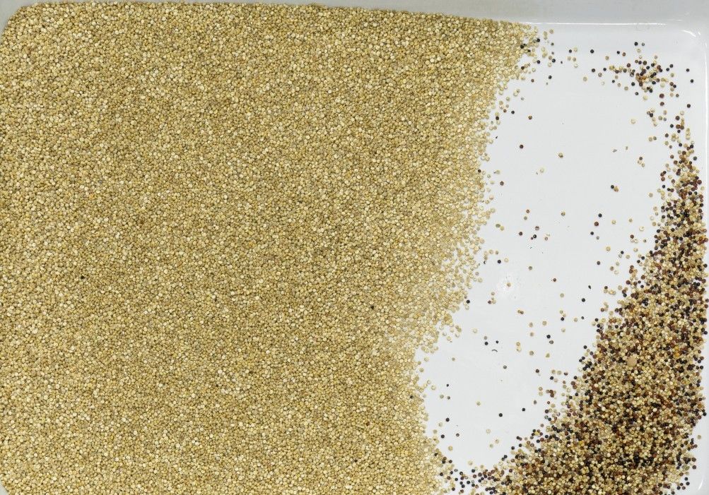 Grain Optical LED Intelligent RGB CCD Multifunction Color Sorter 6 Chutes