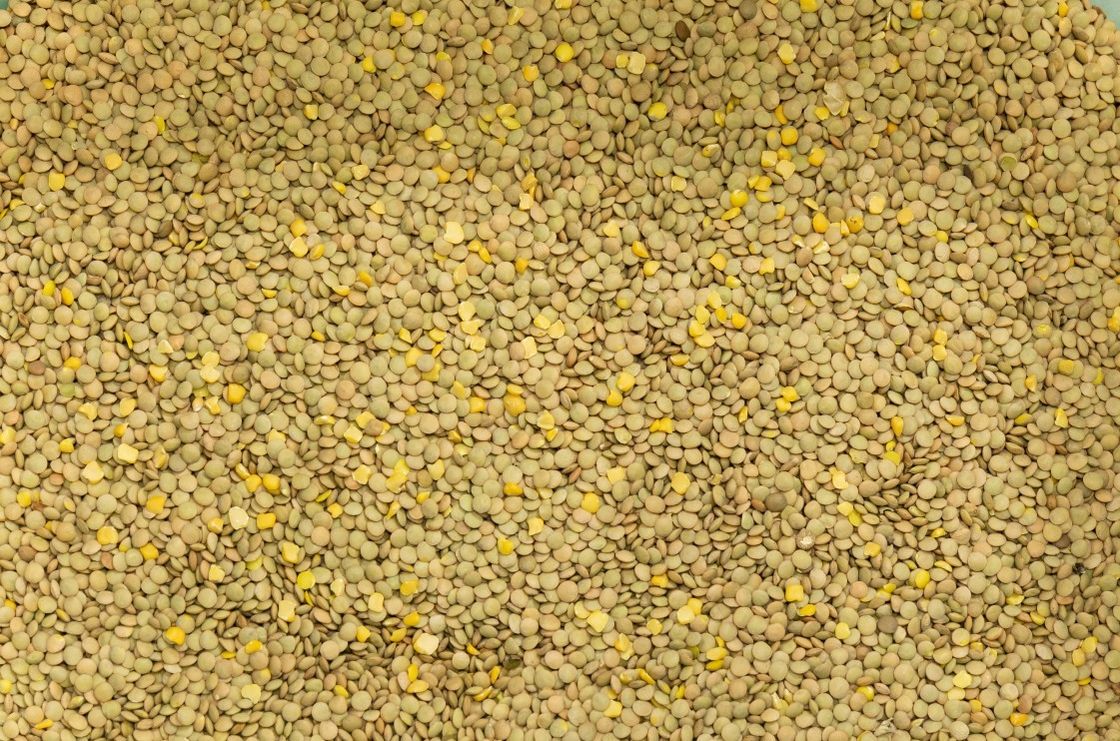 Lentil ChickPeas RGB Color Sorter Machine Automatic Computing